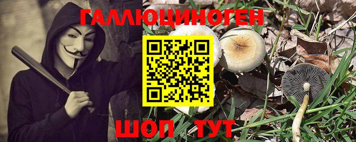 Псилоцибиновые грибы Magic Shrooms  Галлюциногенные грибы Psilocybine cubensis  Вход с VPN  Валуйки 