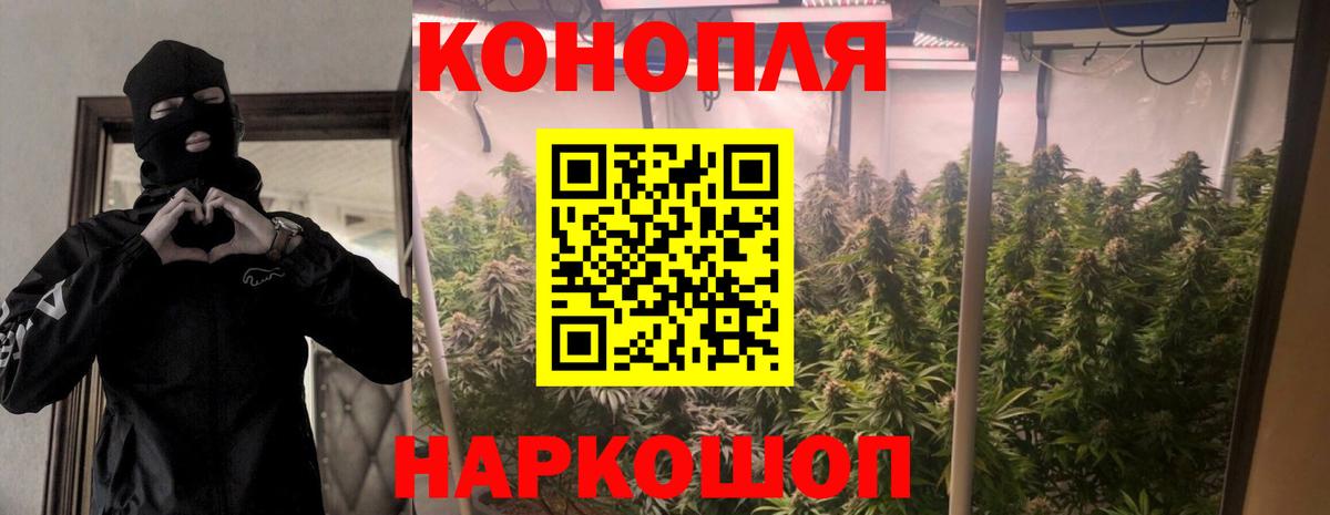 Бошки Шишки конопля Валуйки